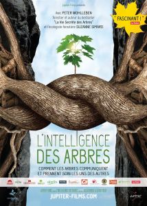 Affiche de l'intelligence des arbres